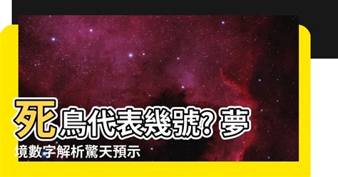 鳥是代表幾號|如何了解小鳥代表數字的含義？